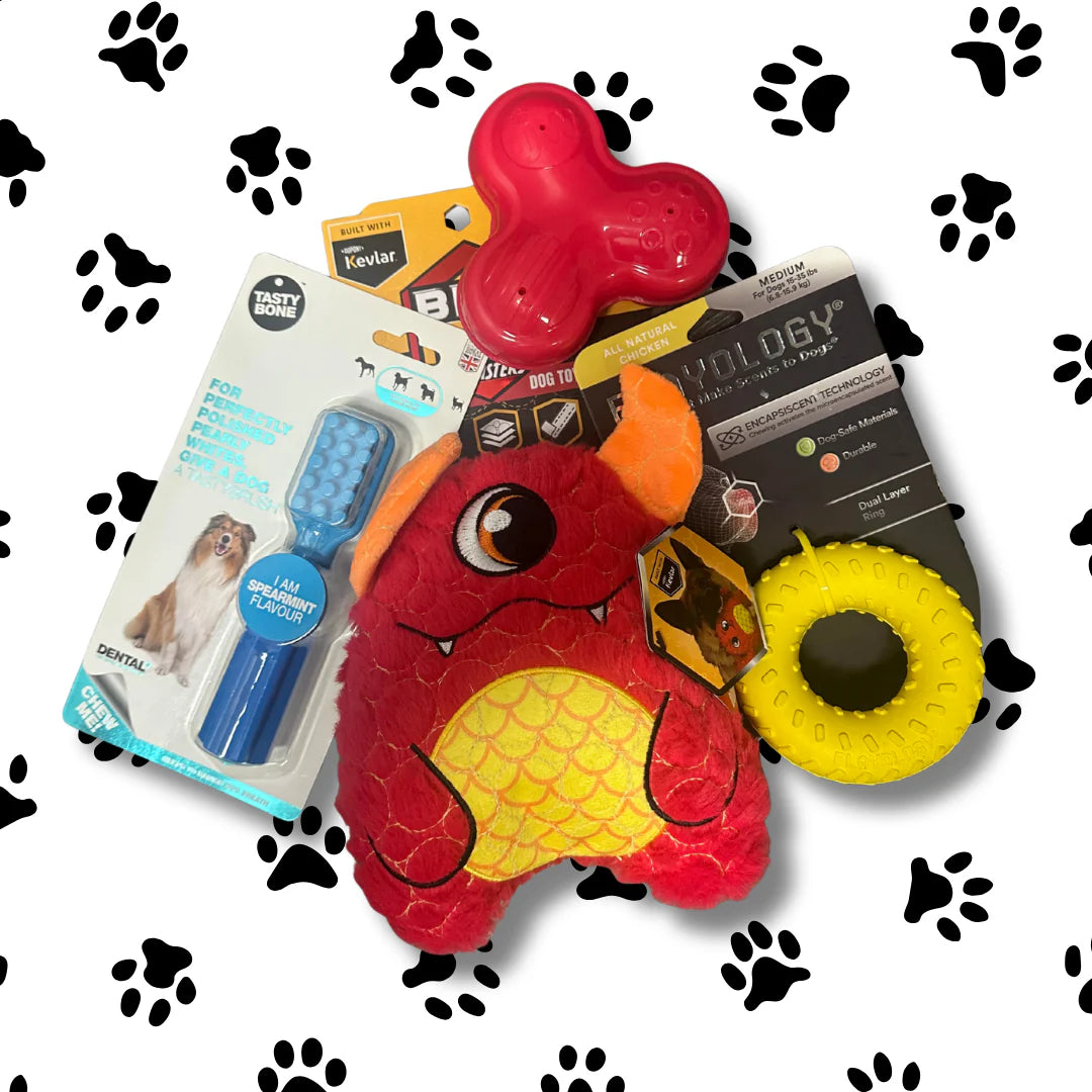Dog toys and treats on a white background with black paw prints