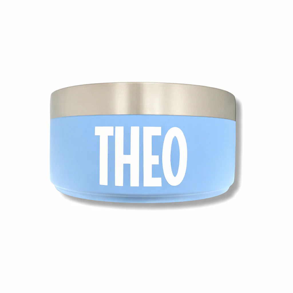 Blue pet bowl with 'THIEO' printed on it against a white background