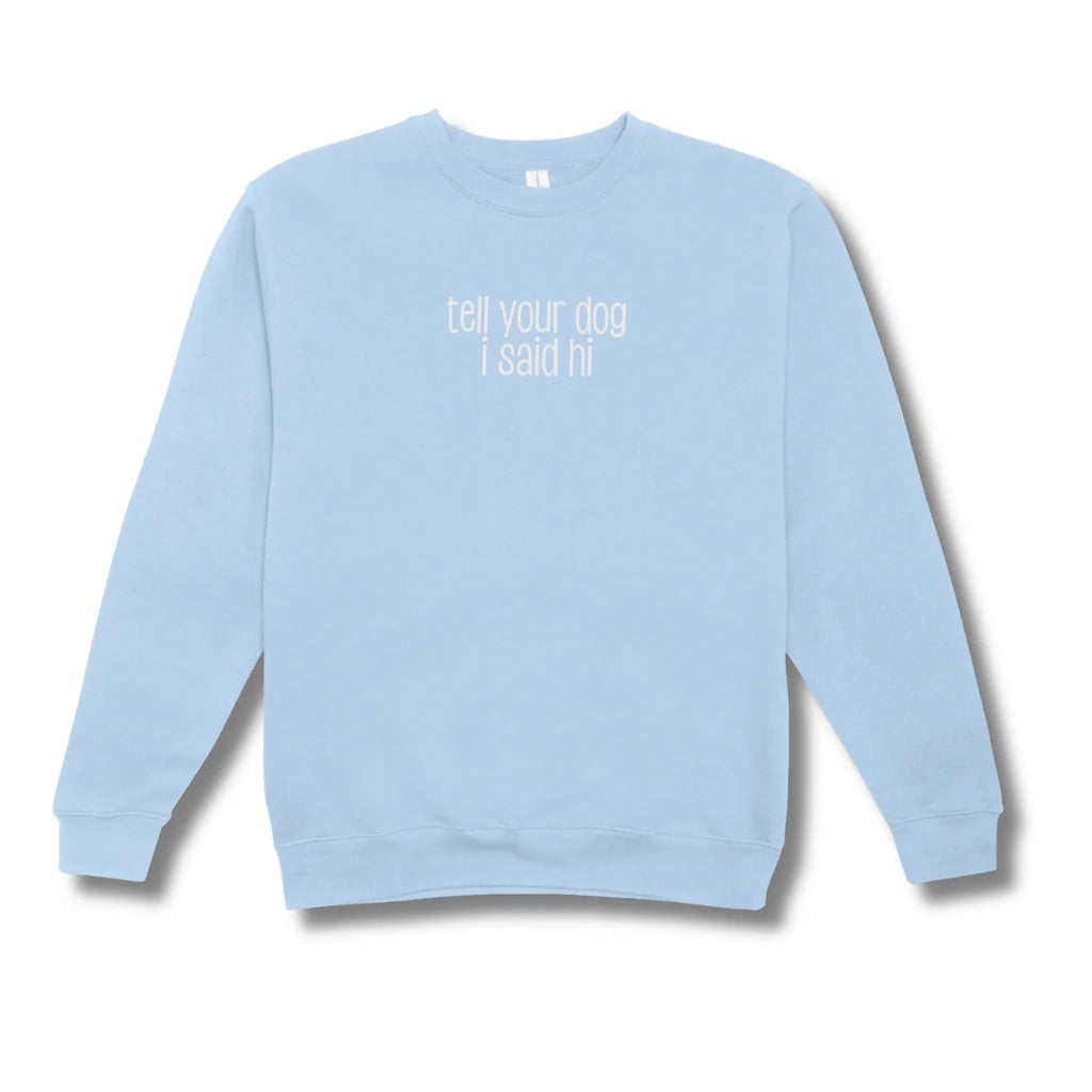 Light blue sweatshirt with text 'tell your dog I said hi' on a white background